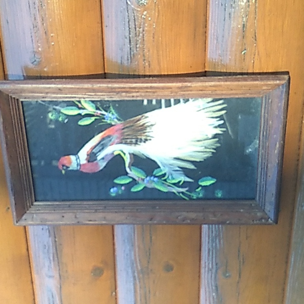 Vintage PEACOCK Framed ART Bird Distressed Wood FRAME πΌοΈ 19" X 11" - Picture 3 of 16